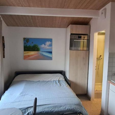 Rue Du Vieux Chateau - Beau F2 مينتون المظهر الخارجي الصورة